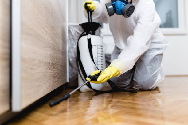 Best Pest Prevention Services  in Chain Lake, WA