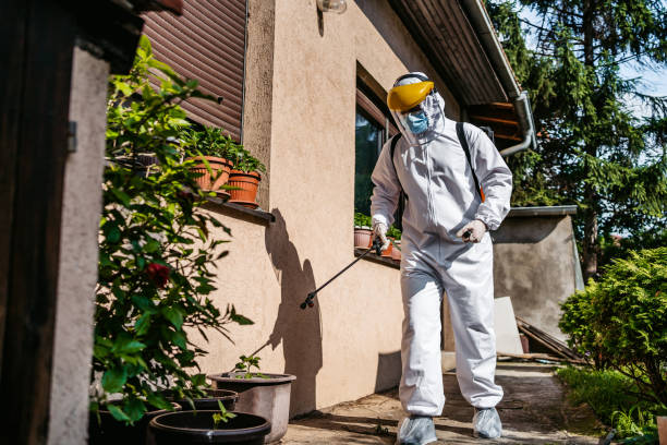 Best Wildlife Control Services  in Chain Lake, WA