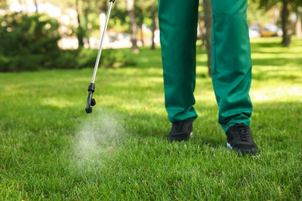 Reliable Chain Lake, WA Pest Control Solutions