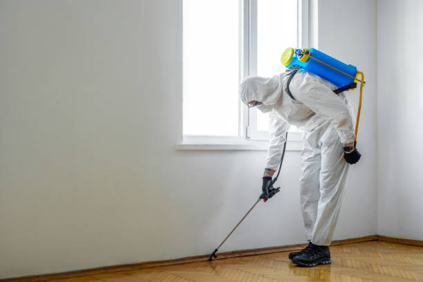 Best Bed Bug Extermination  in Chain Lake, WA