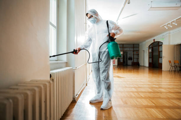 Best Insect Control  in Chain Lake, WA